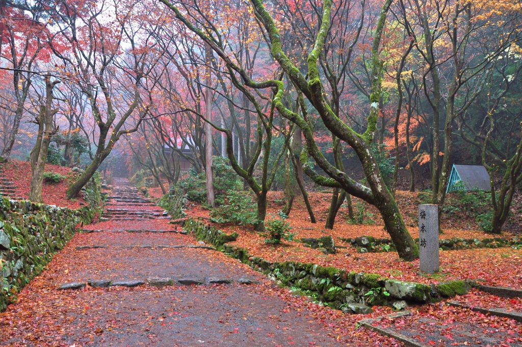 古刹紅葉参道