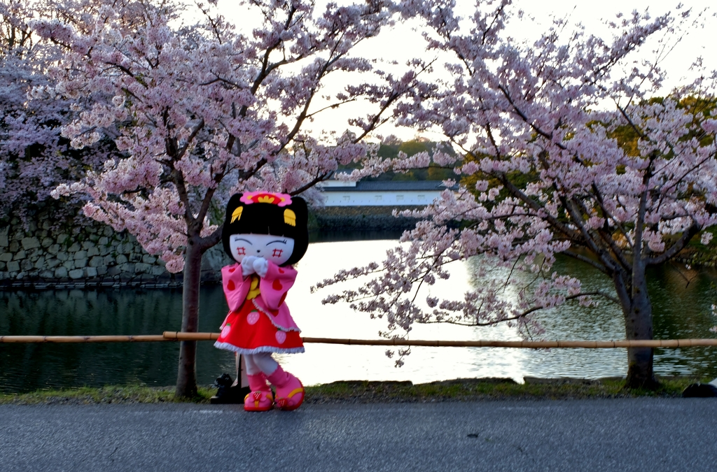 やちにゃん濠端散歩