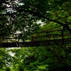 かずら橋　Ⅱ