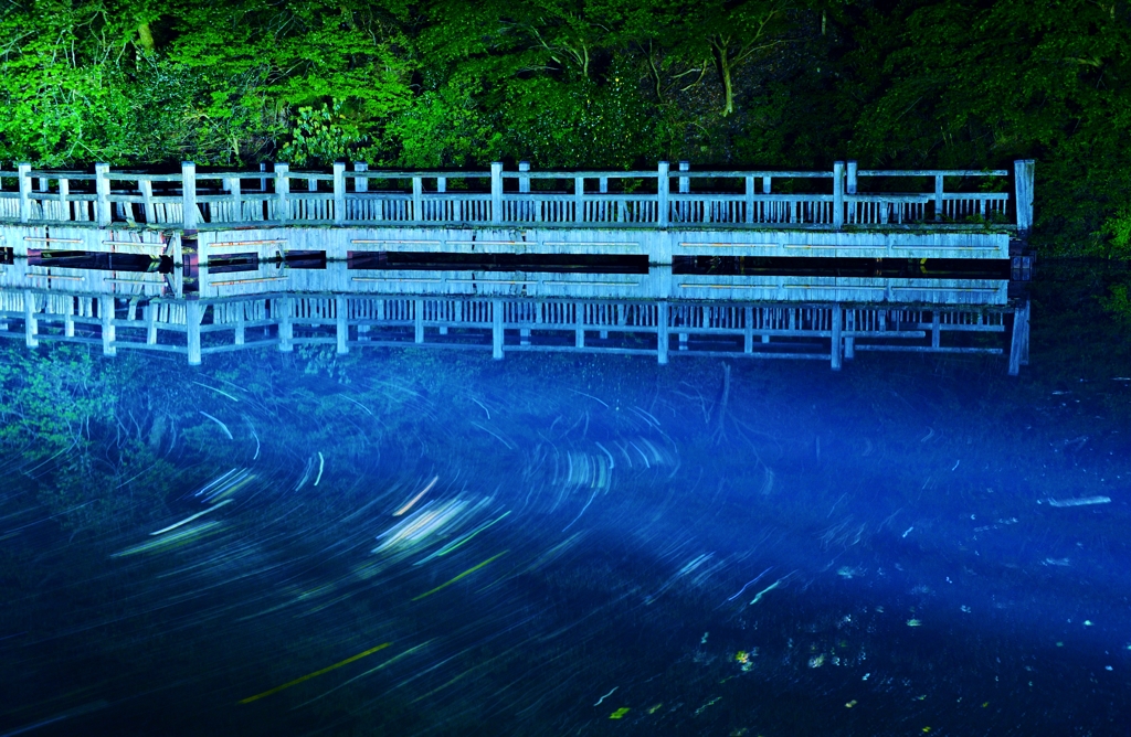 幻想的なもみじ池