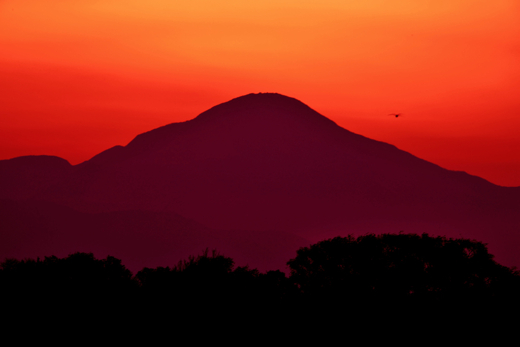 暁の伊吹山