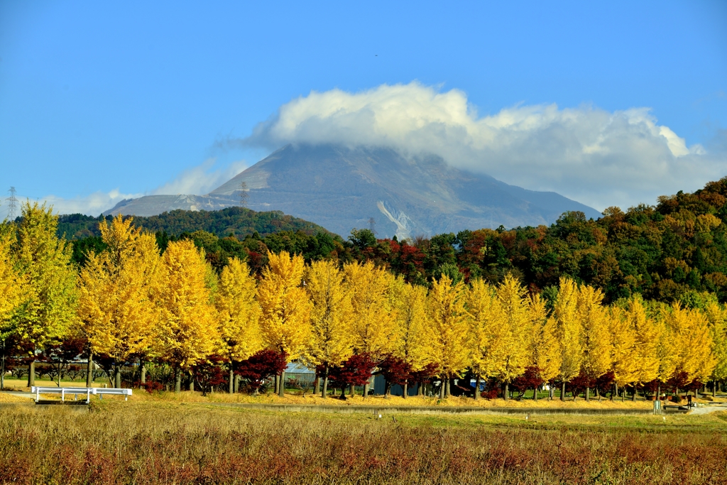 伊吹山　秋風景