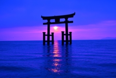蒼の朝