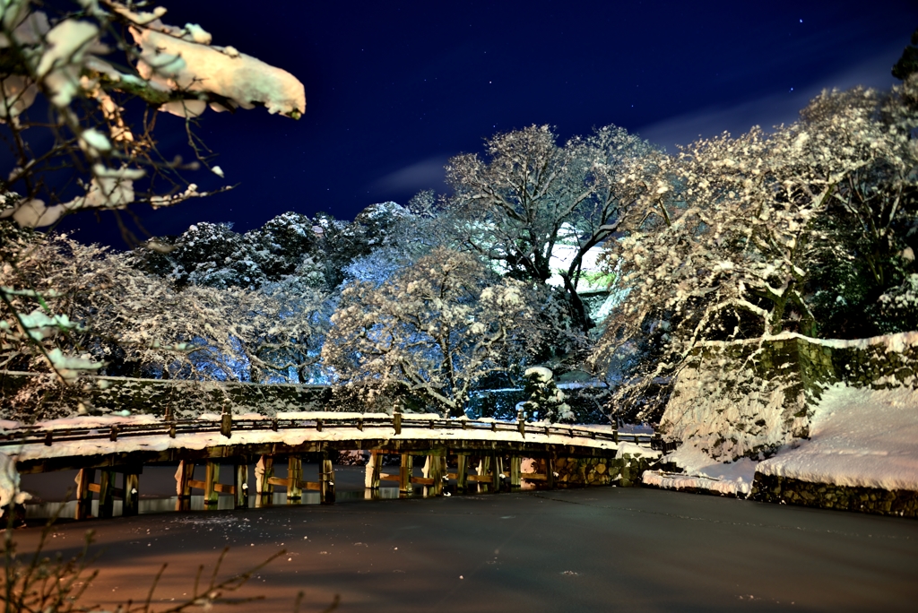 雪夜景・彦根城大手門