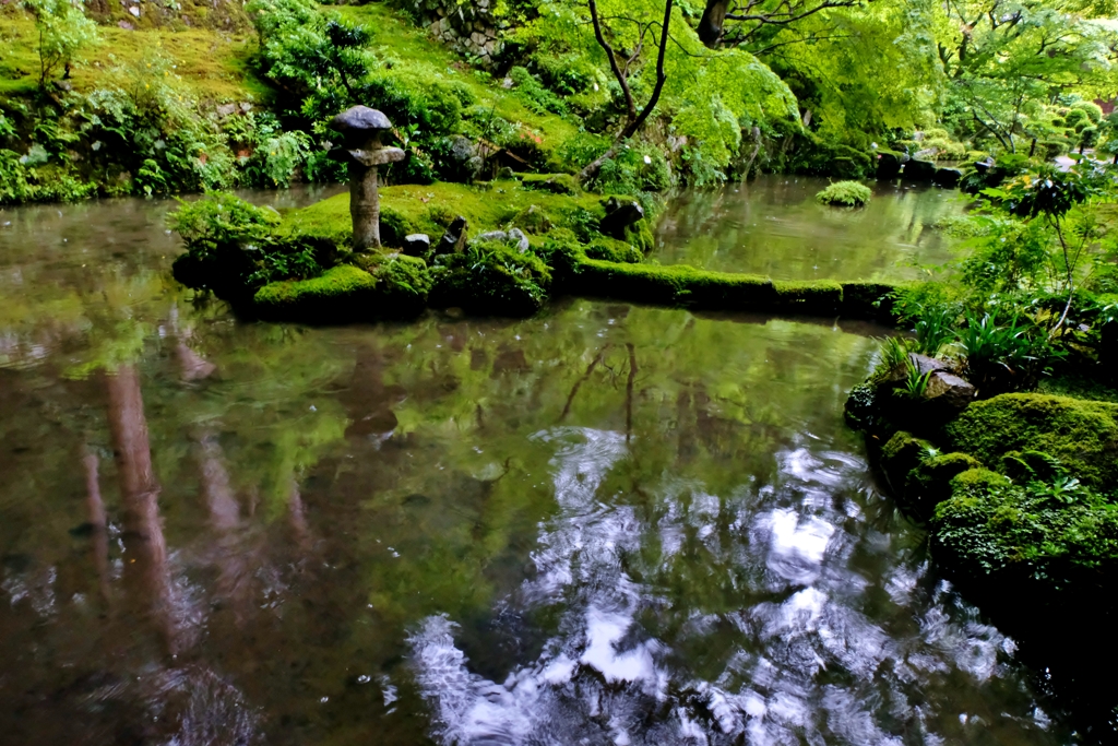 深緑の金剛輪寺明寿院北庭