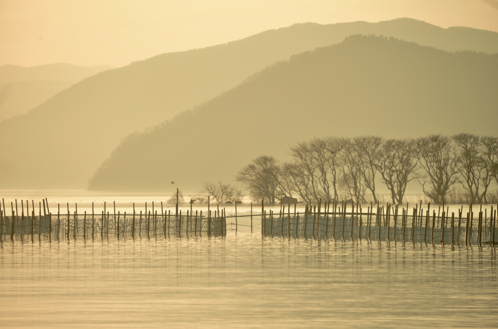 春景色・湖北