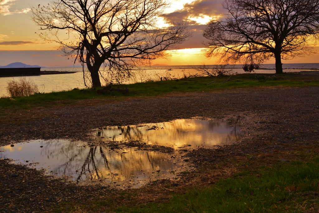 小さな水たまりの夕景