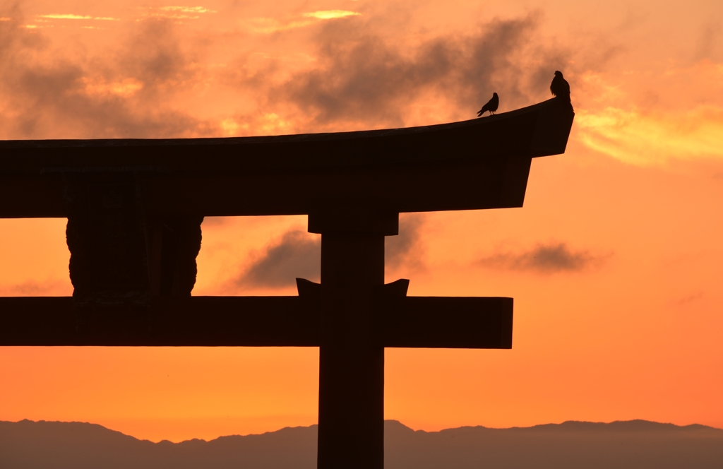 鳥の居るところ