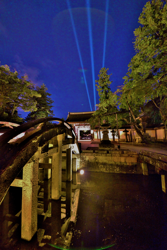 夜空へ　　~多賀大社神あかり~