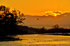 Portry sunset