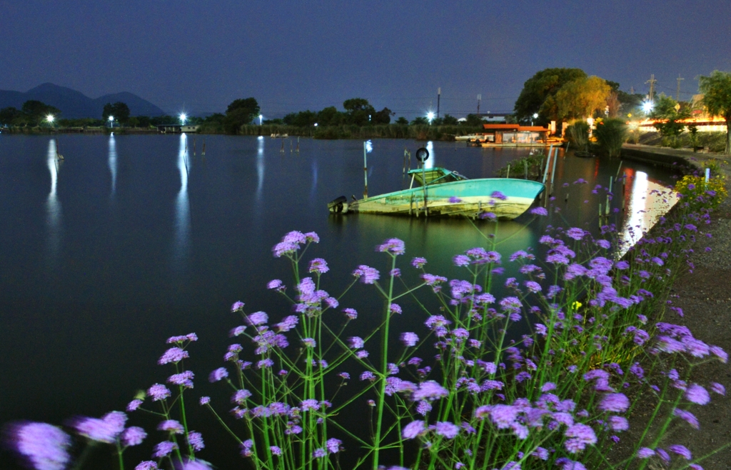 夜更けの西の湖