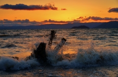 流木の飛沫