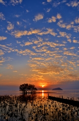 琵琶湖霜月夕日