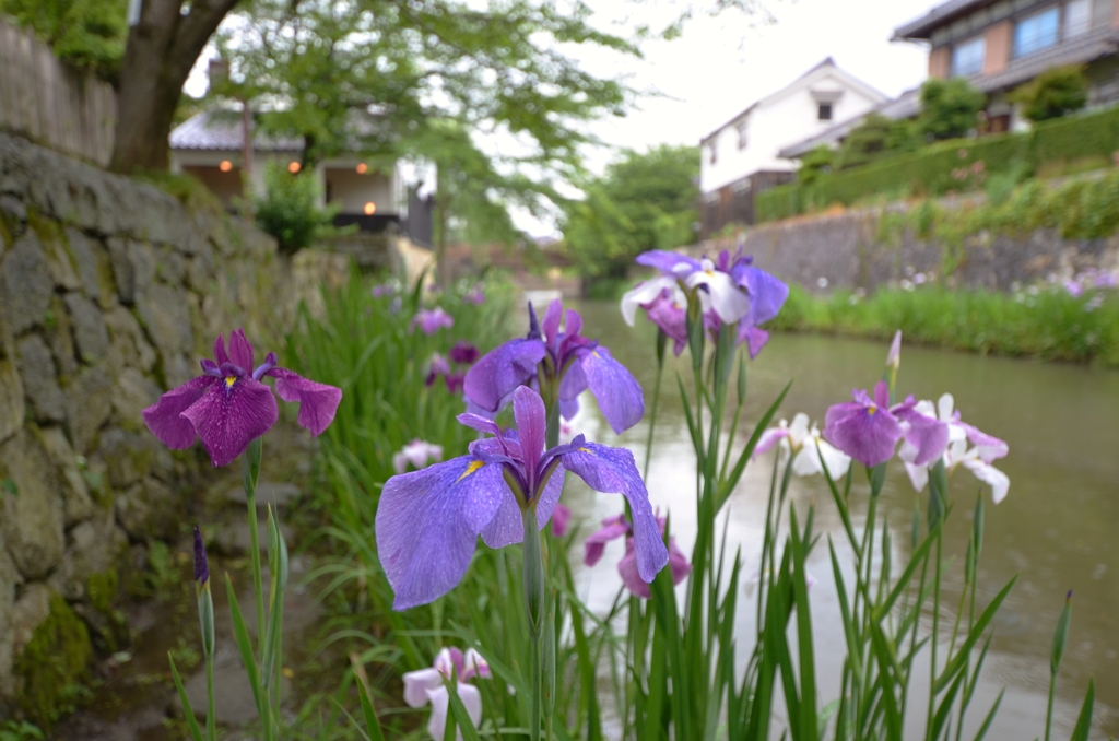 八幡堀