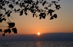 夕日の時間