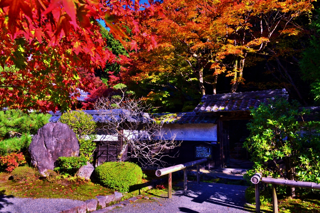 金剛輪寺誘う名勝庭園入り口