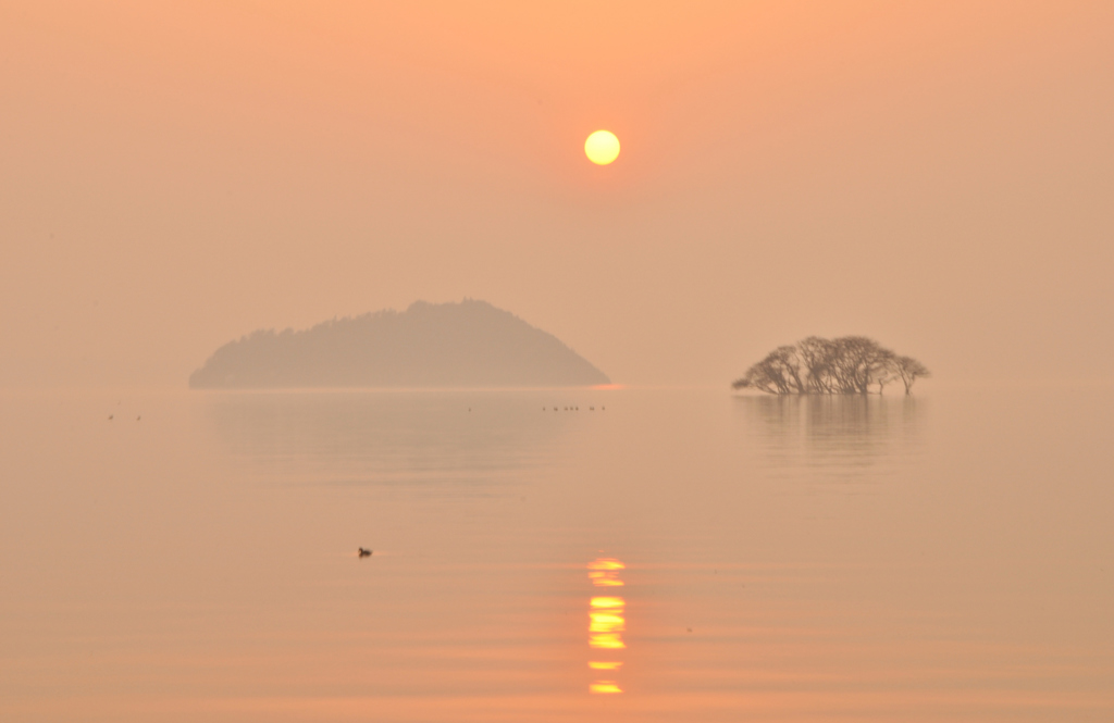 春霞夕景