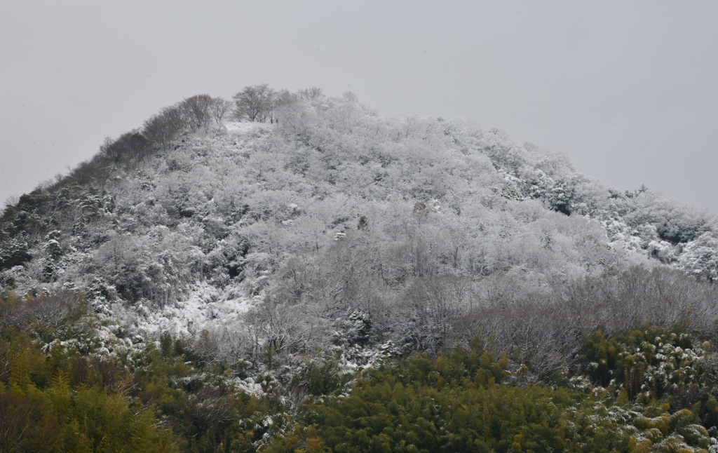 淡雪三成の佐和山城跡