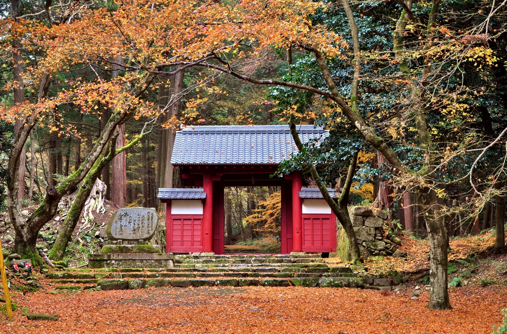 湖東三山百済寺赤門 散り紅葉 By 近江源氏 Id 174 写真共有サイト Photohito