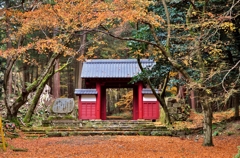 湖東三山百済寺赤門　散り紅葉