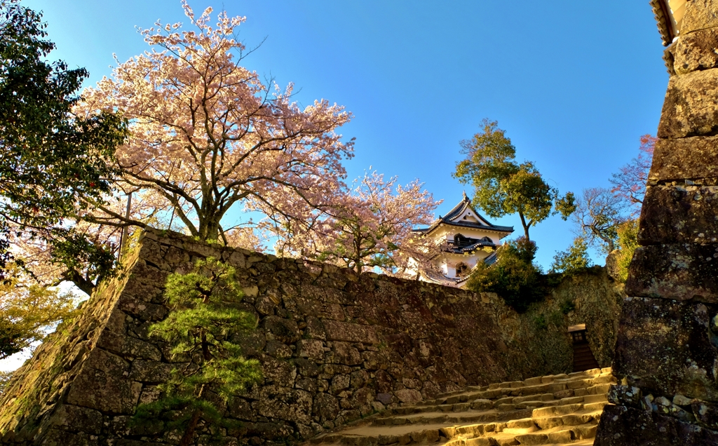 天守への道
