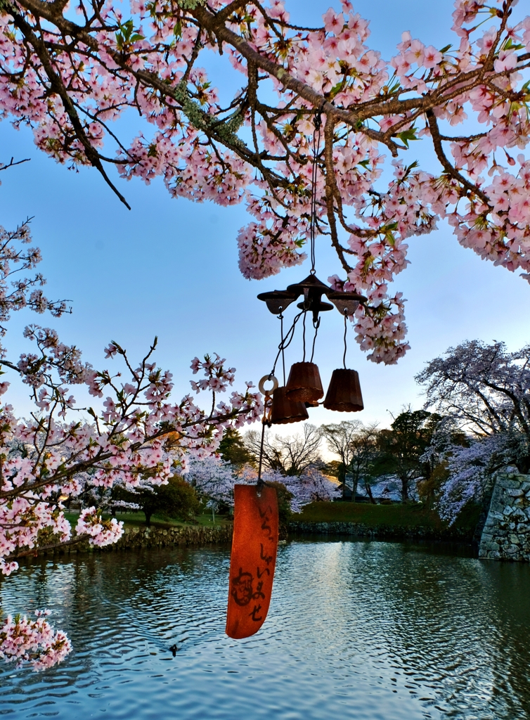 濠端桜風鈴