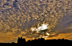 秋雲