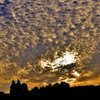 秋雲