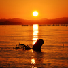 流木の夕日