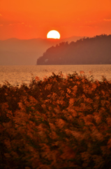 秋風の夕日