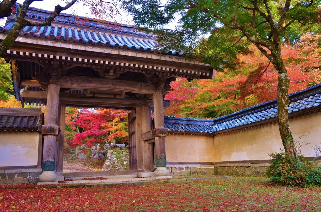 東光寺山門紅葉