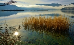 Lake Yogo in the morning