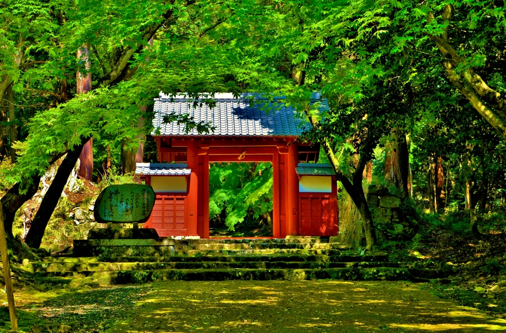 新緑の百済寺赤門