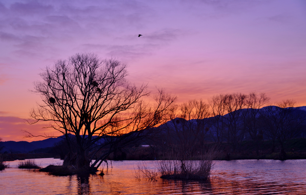 River of dawn