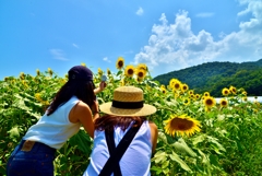 夏の笑顔に巡り会えて