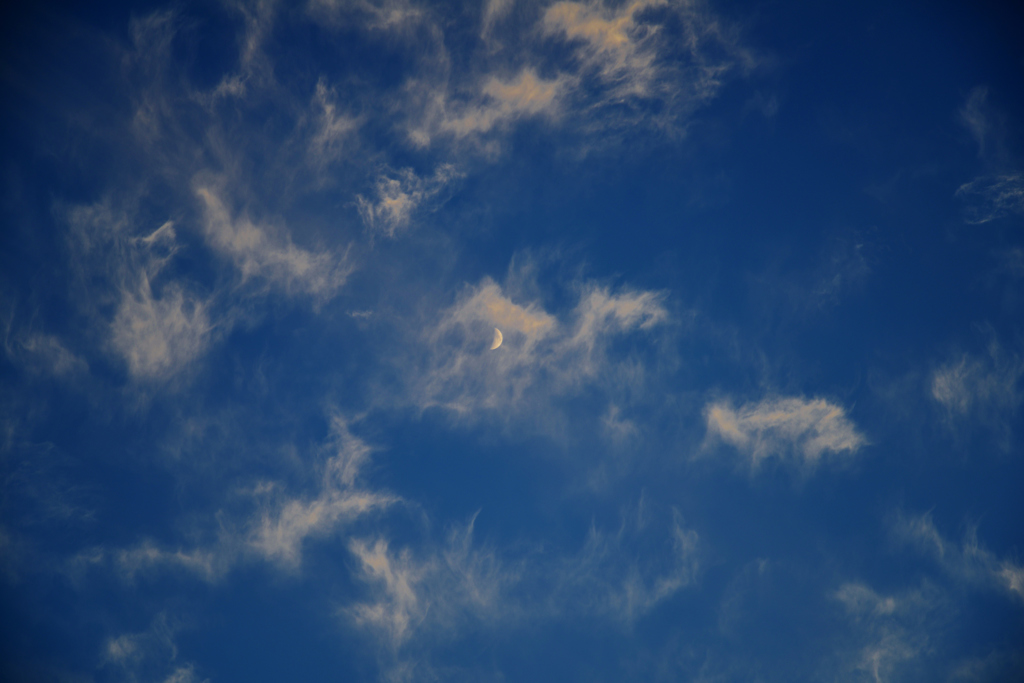 秋空の月