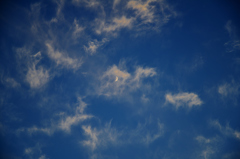 秋空の月
