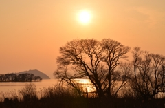 陽春の夕景