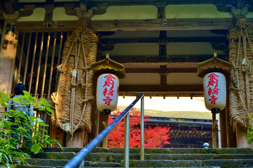 秋ブラ散歩金剛輪寺　16