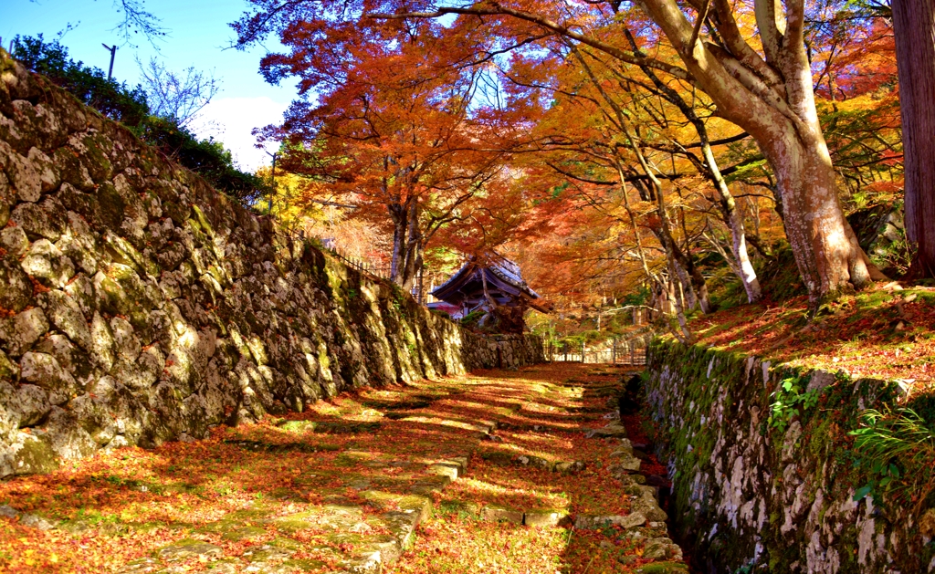 湖東三山百済寺　参道紅葉　19