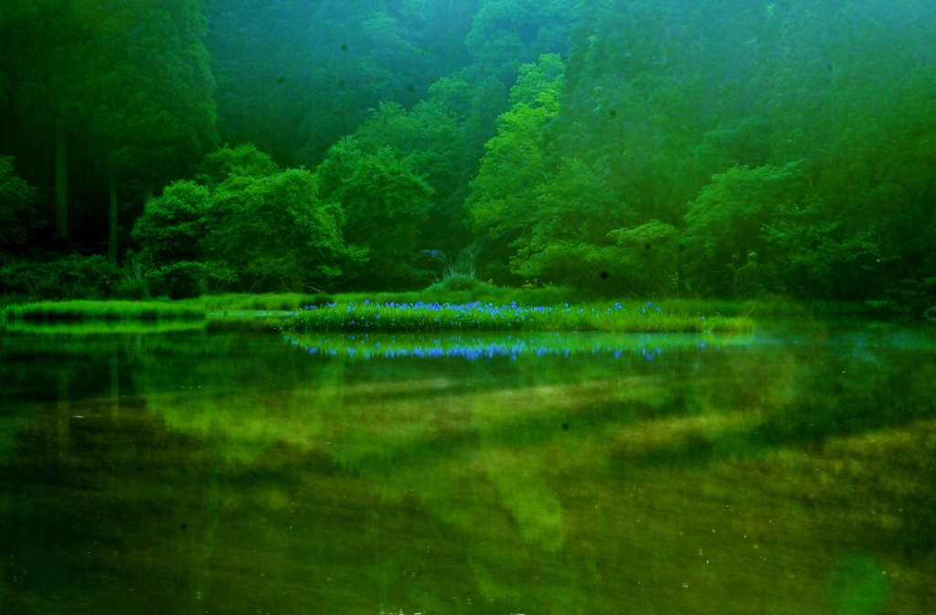 朝景の平池