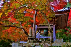 鐘楼紅葉