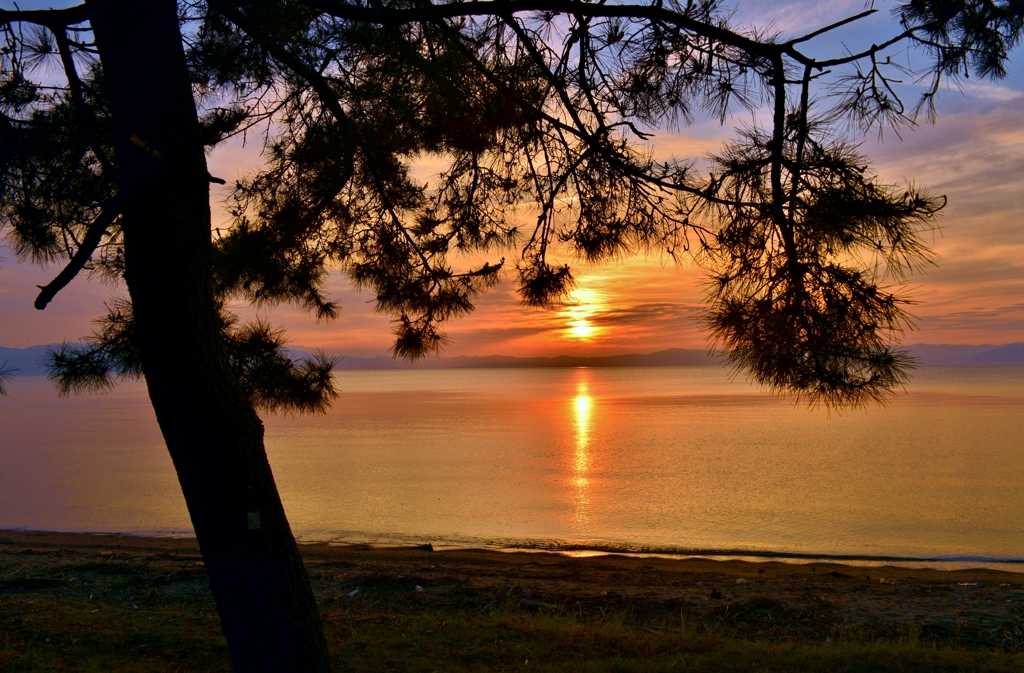 松陰夕日