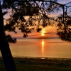 松陰夕日