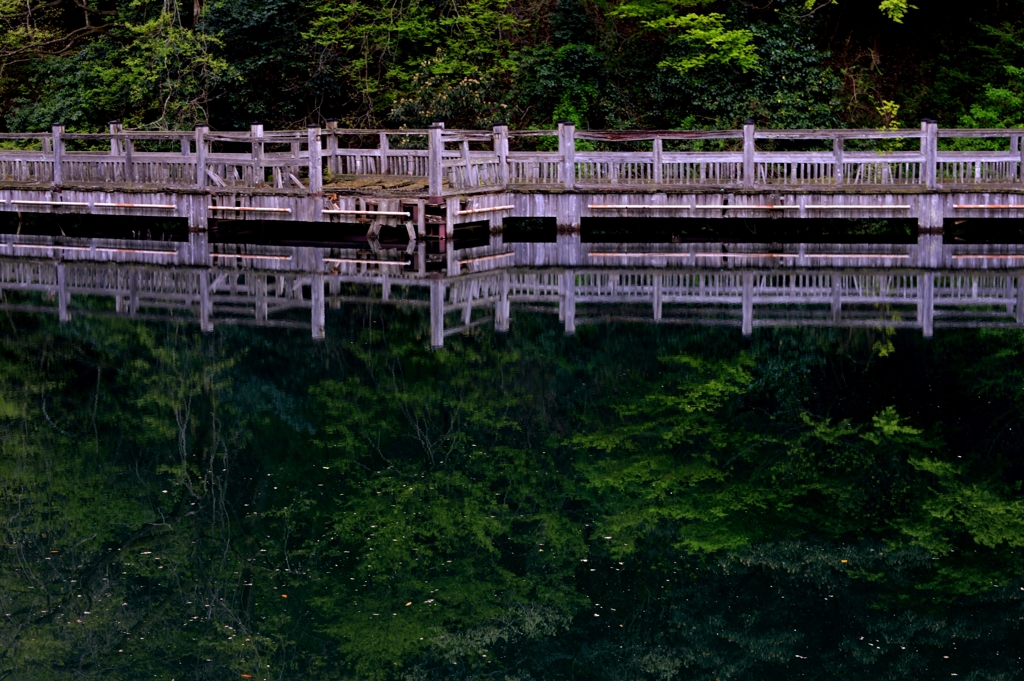 水鏡桟橋