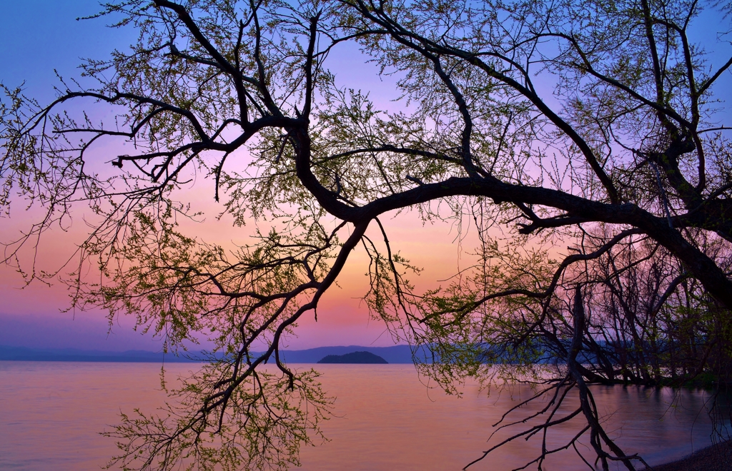 春夕陰