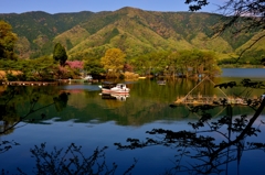 奥琵琶湖春風景　2-1