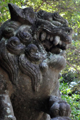狛犬 (2)