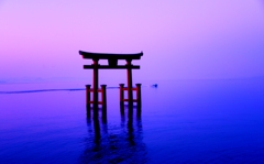 払暁の湖中鳥居