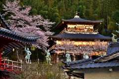 珍景　佐和山遊園　5-3